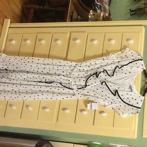 Donny and Nicole New polka dot dress